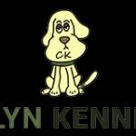 Dog Boarding Kennels in North Wales Profile Picture