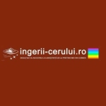 ingerii cerului Profile Picture